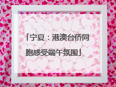 宁夏：港澳台侨同胞感受端午氛围