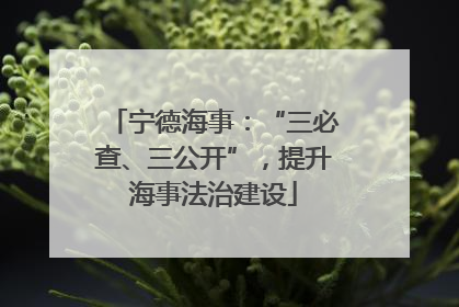 宁德海事：“三必查、三公开”，提升海事法治建设