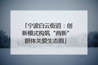 宁波白云街道：创新模式构筑“两新”群体关爱生态圈