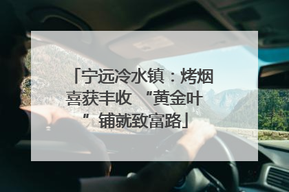 宁远冷水镇：烤烟喜获丰收 “黄金叶”铺就致富路