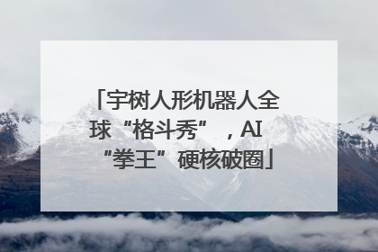 宇树人形机器人全球“格斗秀”，AI“拳王”硬核破圈