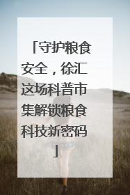 守护粮食安全，徐汇这场科普市集解锁粮食科技新密码