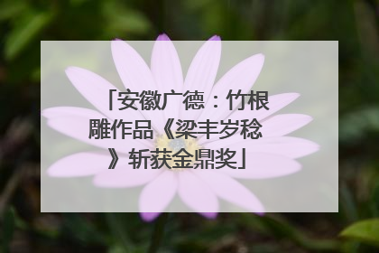 安徽广德：竹根雕作品《梁丰岁稔》斩获金鼎奖