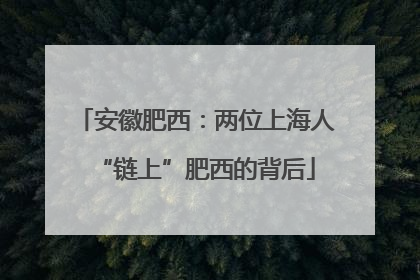 安徽肥西：两位上海人“链上”肥西的背后