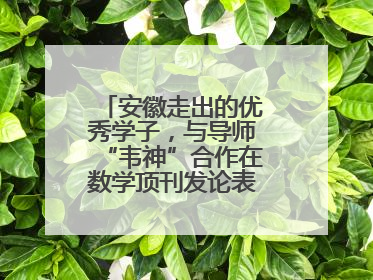 安徽走出的优秀学子，与导师“韦神”合作在数学顶刊发论表重要科研成果
