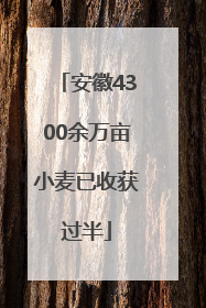 安徽4300余万亩小麦已收获过半