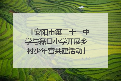 安阳市第二十一中学与磊口小学开展乡村少年宫共建活动