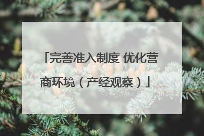 完善准入制度 优化营商环境（产经观察）