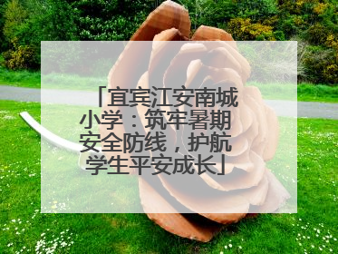 宜宾江安南城小学：筑牢暑期安全防线，护航学生平安成长