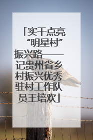 实干点亮“明星村”振兴路——记贵州省乡村振兴优秀驻村工作队员王培欢
