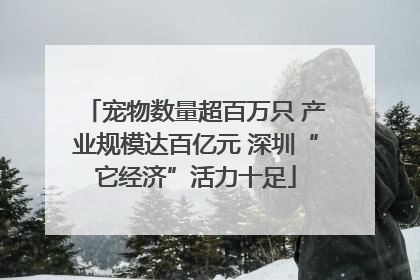 宠物数量超百万只 产业规模达百亿元 深圳“它经济”活力十足