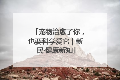 宠物治愈了你，也要科学爱它｜新民·健康新知