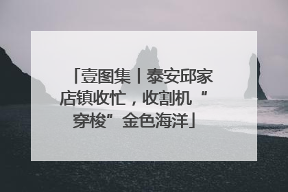 壹图集丨泰安邱家店镇收忙，收割机“穿梭”金色海洋
