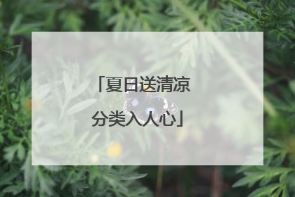 夏日送清凉 分类入人心