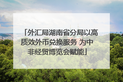 外汇局湖南省分局以高质效外币兑换服务 为中非经贸博览会赋能