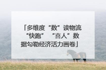 多维度“数”读物流“快跑” “喜人”数据勾勒经济活力画卷