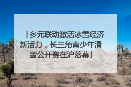 多元联动激活冰雪经济新活力，长三角青少年滑雪公开赛在沪落幕