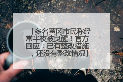 多名黄冈市民称经常半夜被臭醒！官方回应：已有整改措施，还没有整改情况