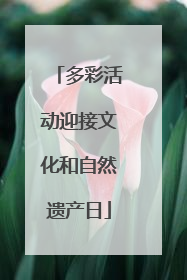多彩活动迎接文化和自然遗产日