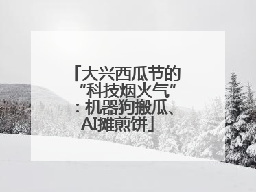大兴西瓜节的“科技烟火气”：机器狗搬瓜、AI摊煎饼