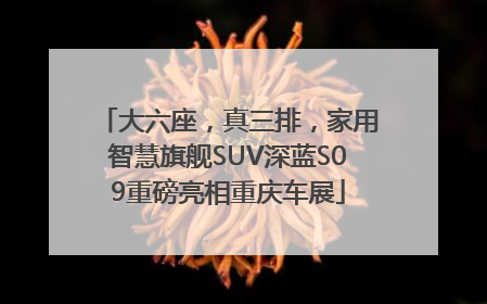 大六座，真三排，家用智慧旗舰SUV深蓝S09重磅亮相重庆车展