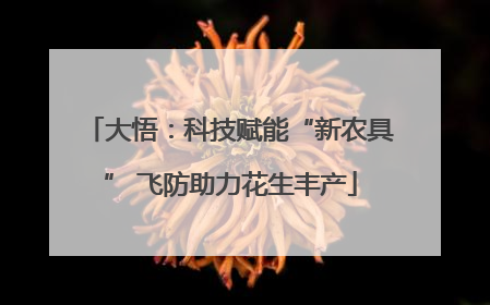 大悟：科技赋能“新农具” 飞防助力花生丰产