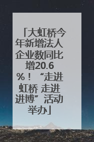 大虹桥今年新增法人企业数同比增20.6%！“走进虹桥 走进进博”活动举办