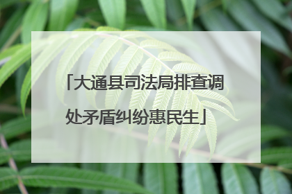 大通县司法局排查调处矛盾纠纷惠民生