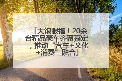 大饱眼福！20余台精品豪车齐聚嘉定，推动“汽车+文化+消费”融合