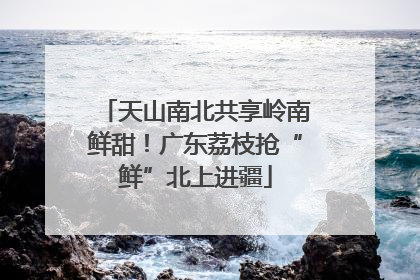 天山南北共享岭南鲜甜！广东荔枝抢“鲜”北上进疆