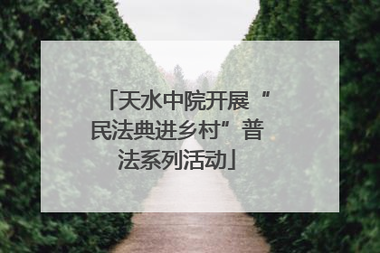 天水中院开展“民法典进乡村”普法系列活动