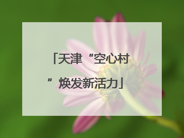 天津“空心村”焕发新活力