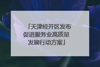天津经开区发布促进服务业高质量发展行动方案