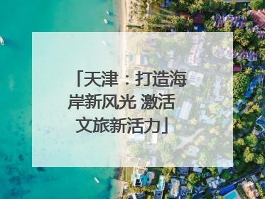 天津：打造海岸新风光 激活文旅新活力