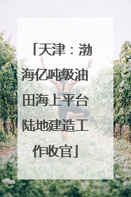 天津：渤海亿吨级油田海上平台陆地建造工作收官