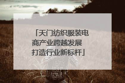 天门纺织服装电商产业跨越发展 打造行业新标杆