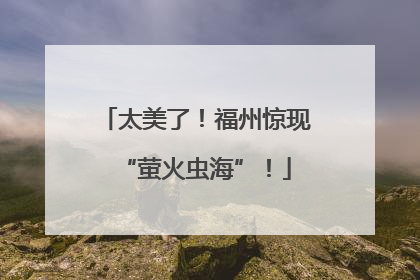 太美了！福州惊现“萤火虫海”！