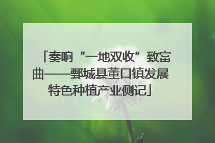 奏响“一地双收”致富曲——鄄城县董口镇发展特色种植产业侧记
