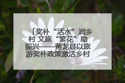 奖补“活水”润乡村 文旅“繁花”助振兴——黄龙县以旅游奖补政策激活乡村振兴新动能