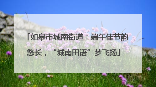 如皋市城南街道：端午佳节韵悠长，“城南田语”梦飞扬