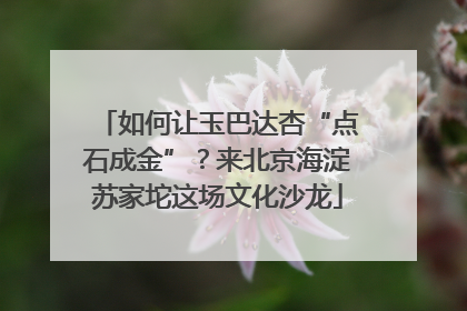如何让玉巴达杏“点石成金”？来北京海淀苏家坨这场文化沙龙