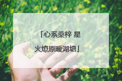 心系桑梓 星火燎原暖湖塘