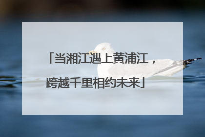 当湘江遇上黄浦江，跨越千里相约未来