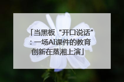 当黑板“开口说话”：一场AI课件的教育创新在蒸湘上演
