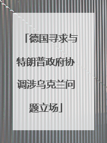 德国寻求与特朗普政府协调涉乌克兰问题立场