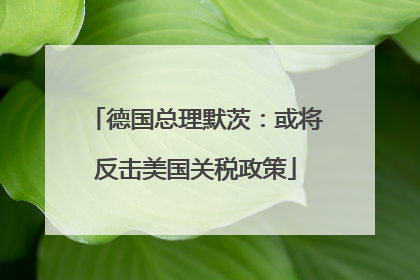 德国总理默茨：或将反击美国关税政策
