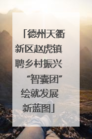 德州天衢新区赵虎镇聘乡村振兴“智囊团” 绘就发展新蓝图