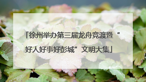 徐州举办第三届龙舟竞渡暨“好人好事好彭城”文明大集