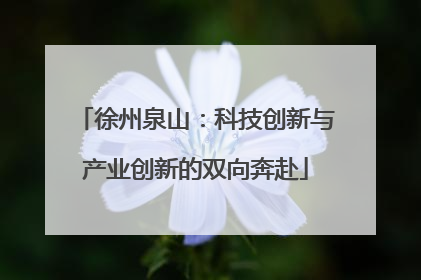 徐州泉山：科技创新与产业创新的双向奔赴