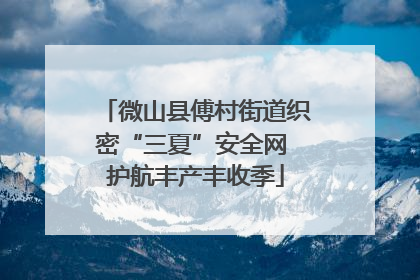 微山县傅村街道织密“三夏”安全网 护航丰产丰收季